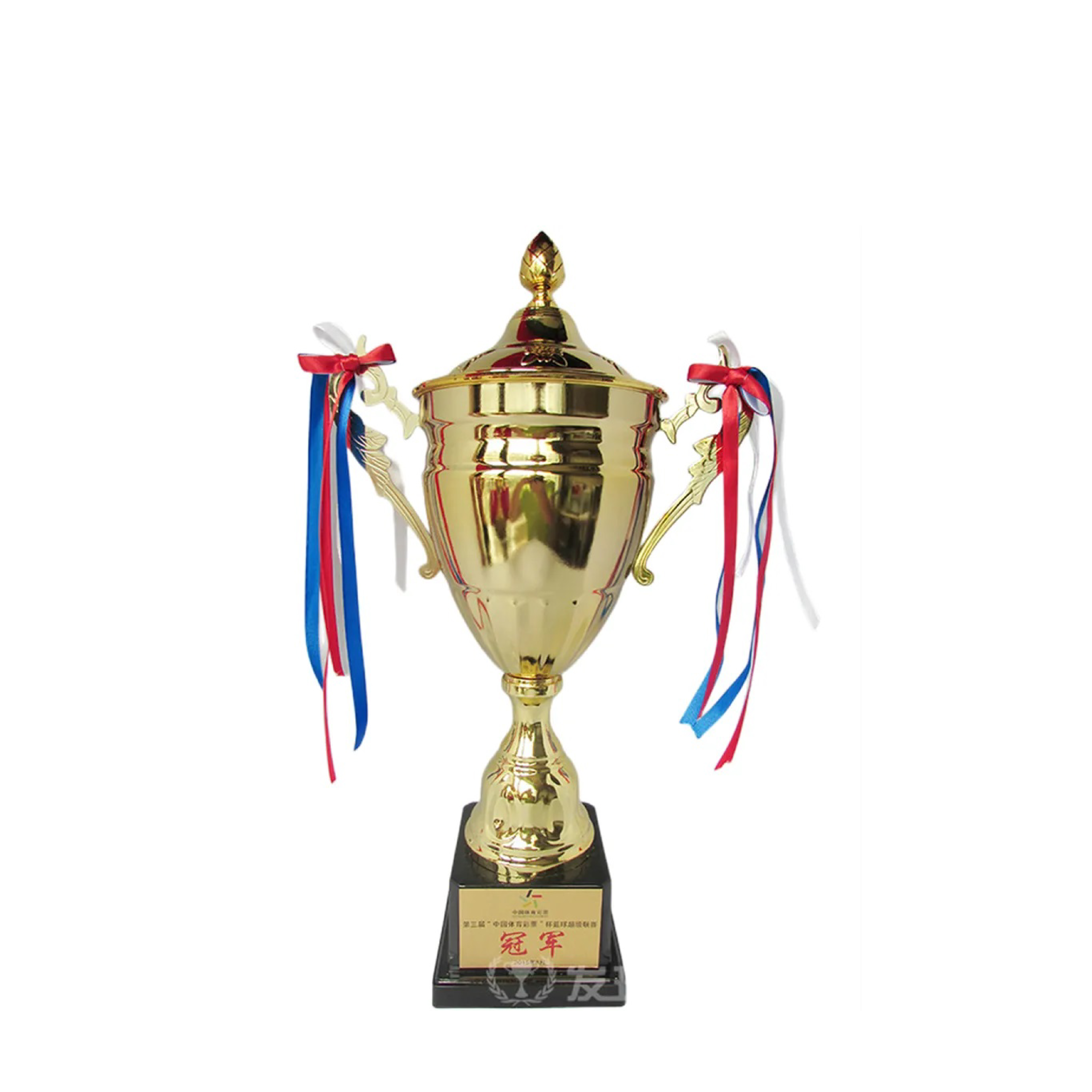 كأس رياضي 45 سم 2858-2