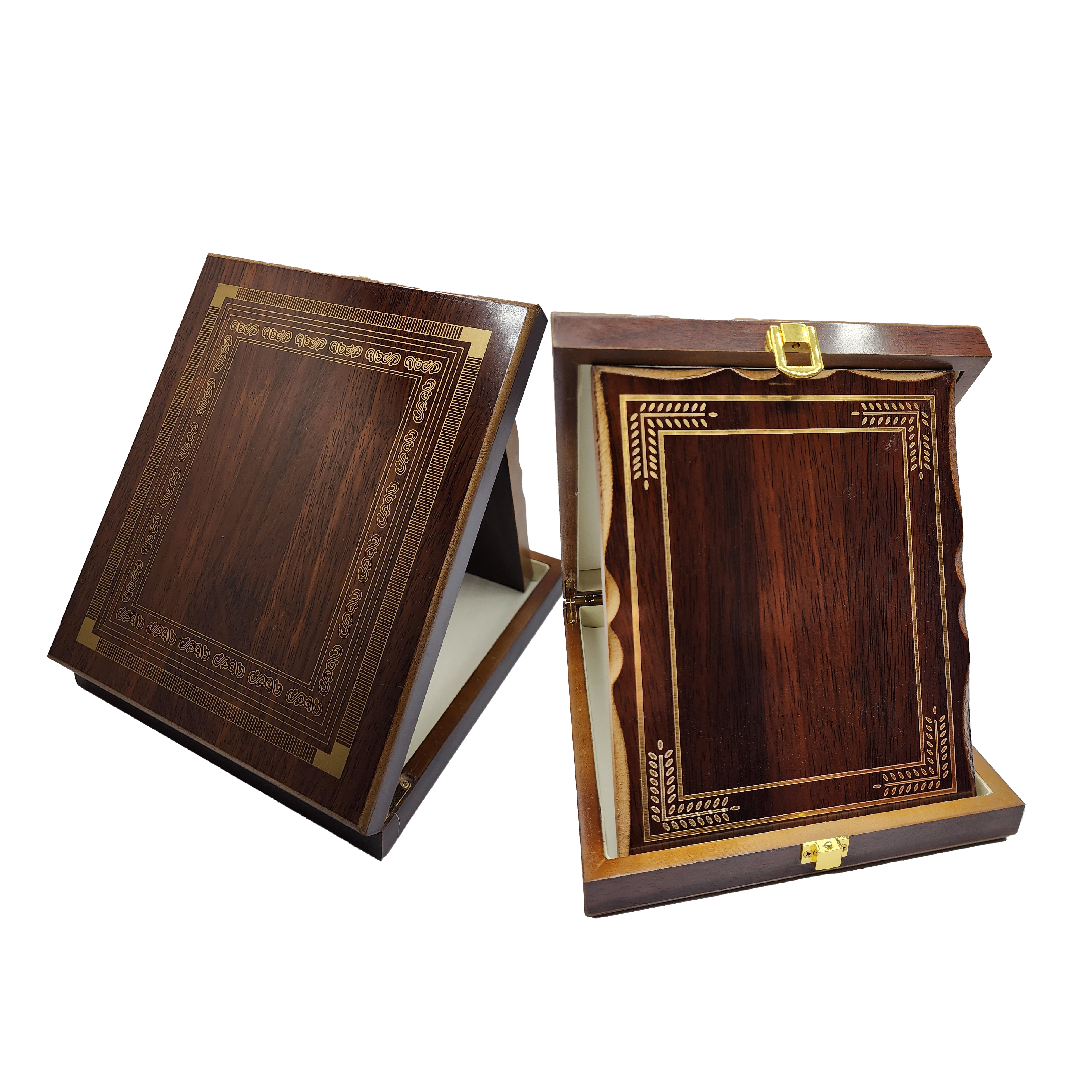 درع فلوريدا بني صغير 3524-12