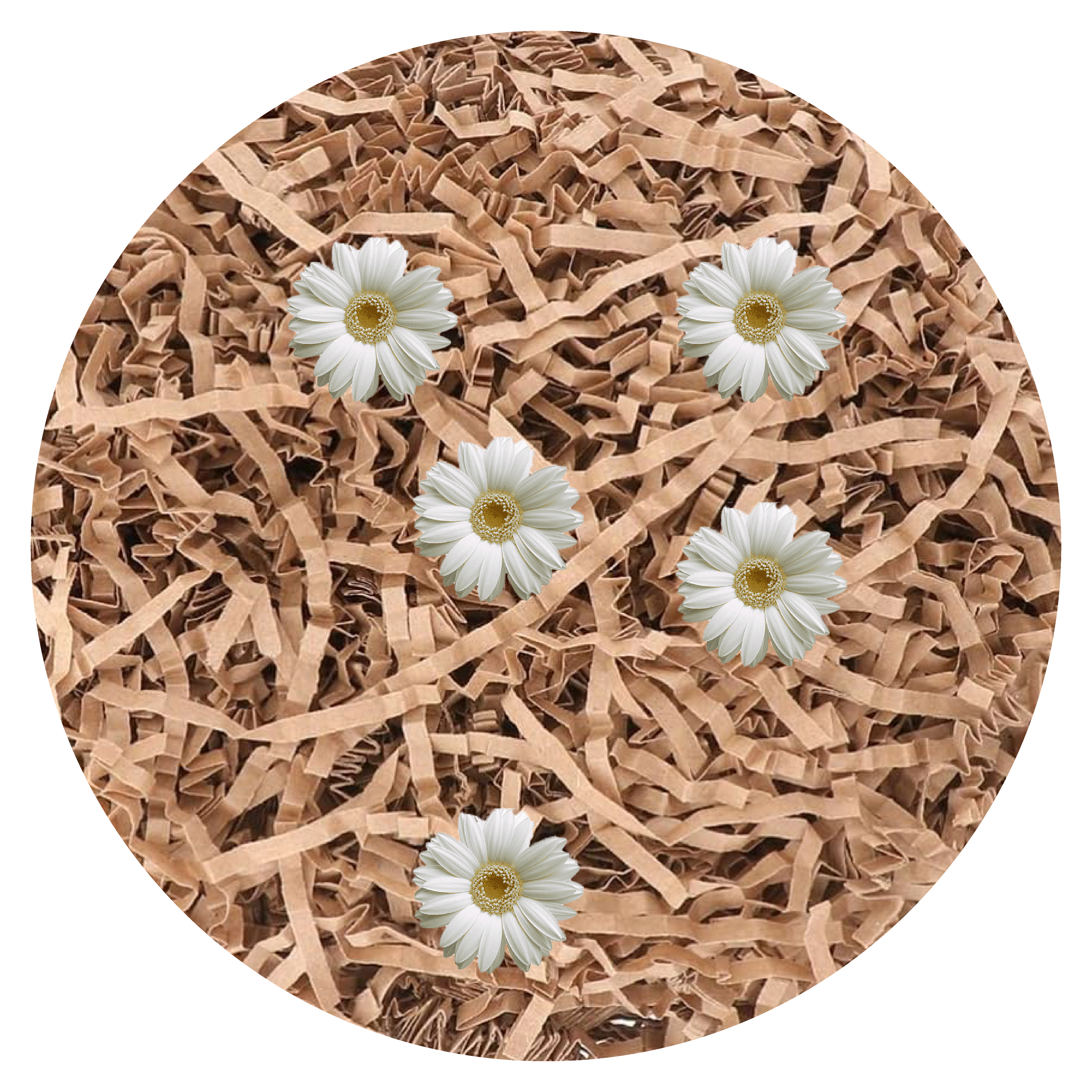 قش هدايا مع ورد 2314-5