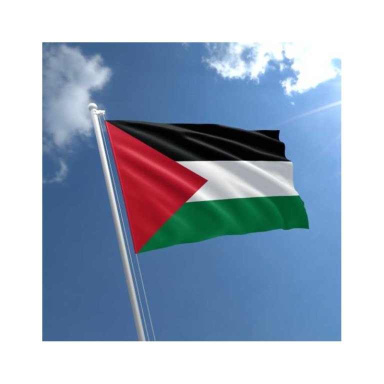 علم فلسطين 60*40 سم