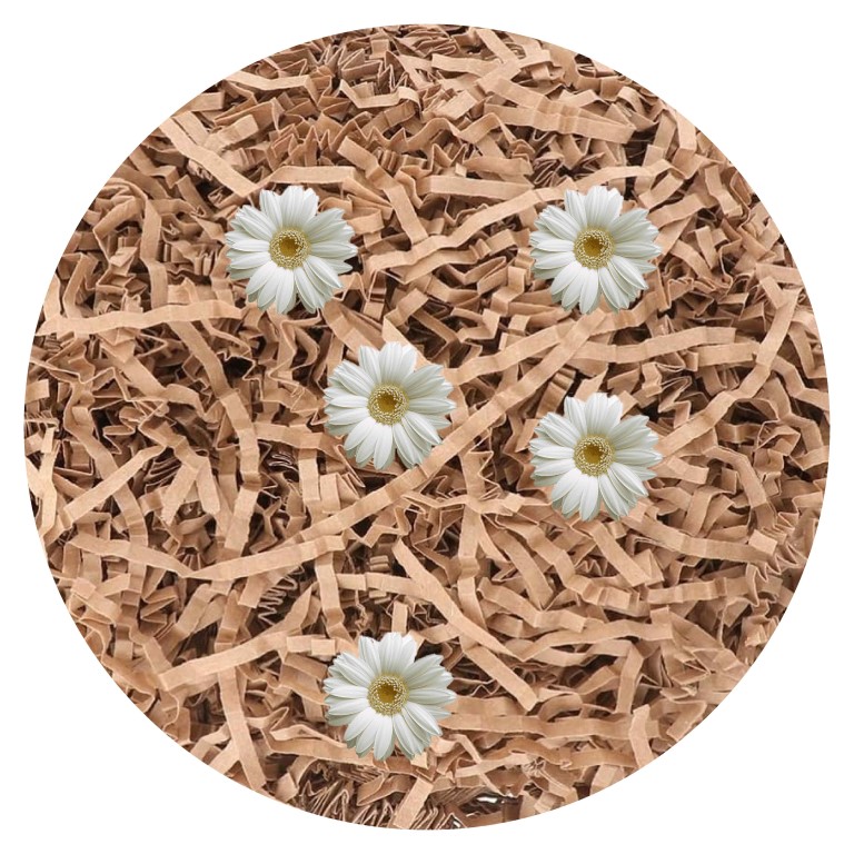 قش هدايا مع ورد 2314-5