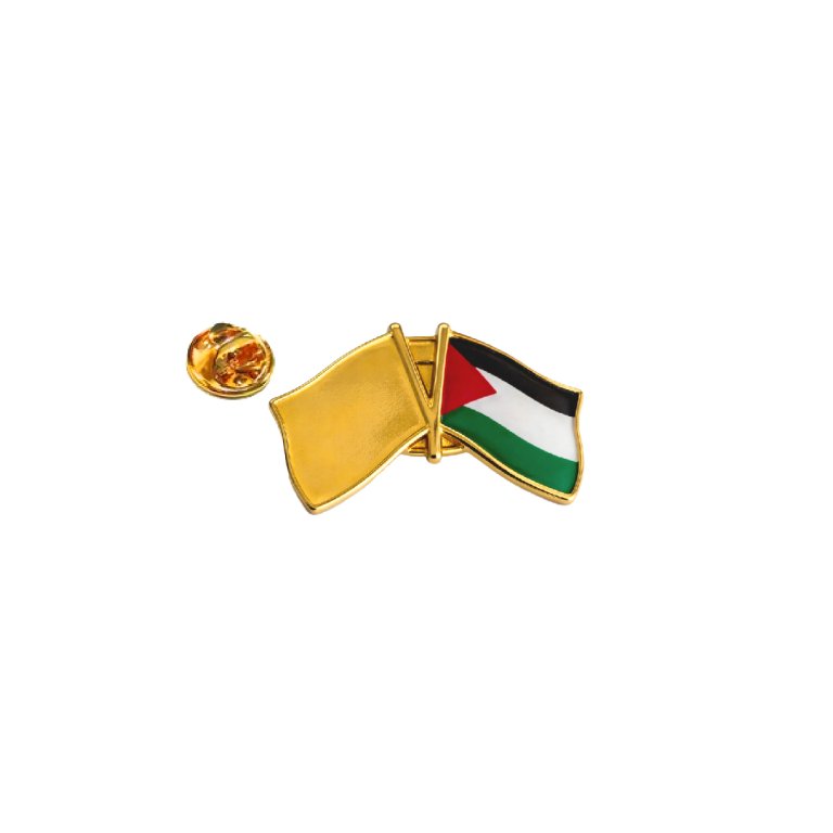 دبوس علمين عادي 3613-2