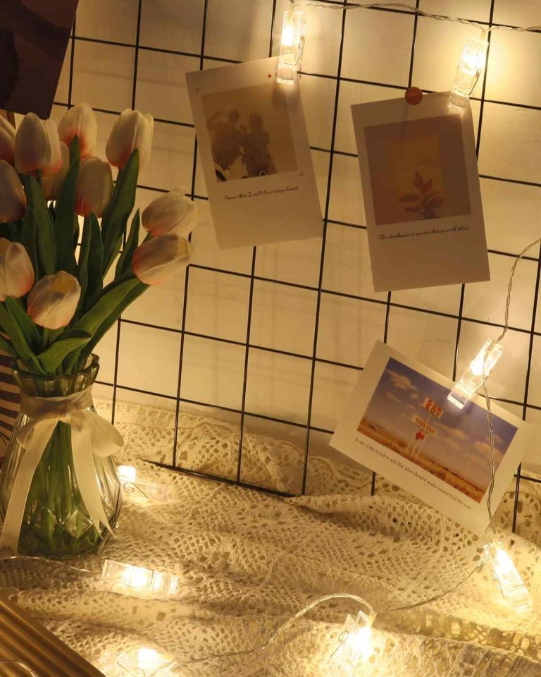 حبل صور مع اضاءة 10 صور 1131-1